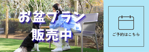 フォトギャラリー